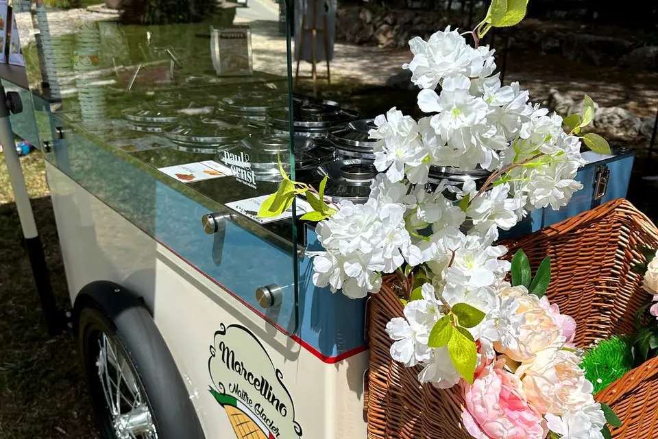 Marcellino Glacier — photo 1