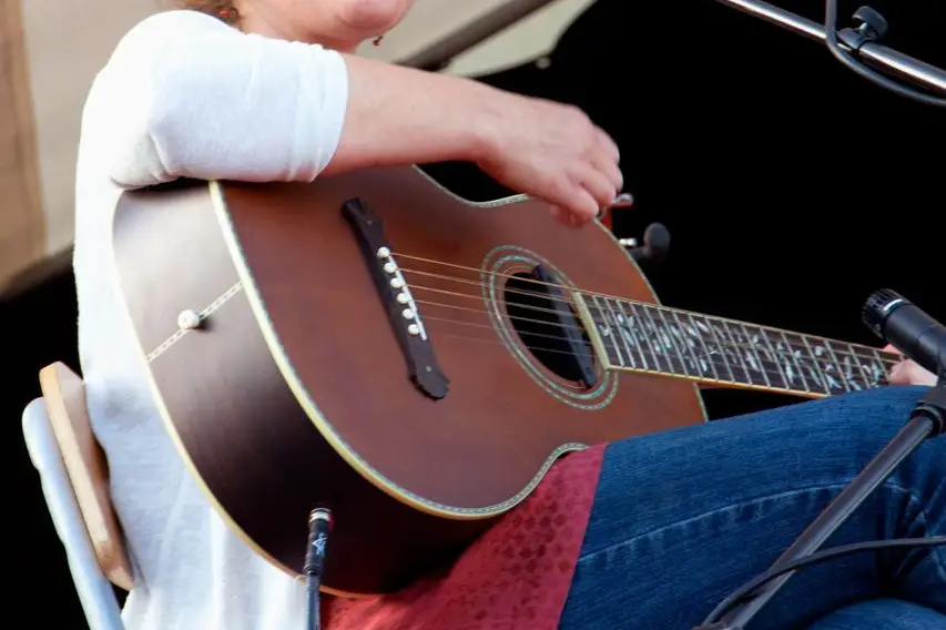 Human Birds (Folk Acoustique) — photo 4