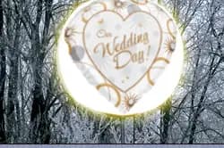 Le Marquage - Signalisation de Mariage — photo 1