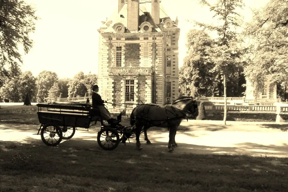 Ferme Équestre Esnol — photo 5