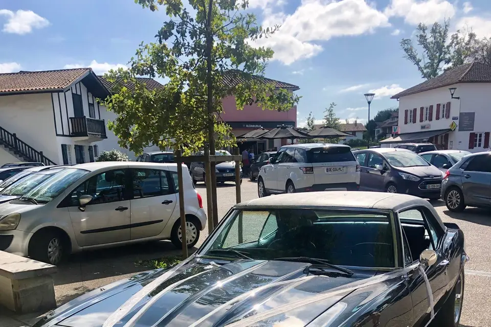 Pms création — photo 3