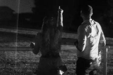 Pms création — photo 7