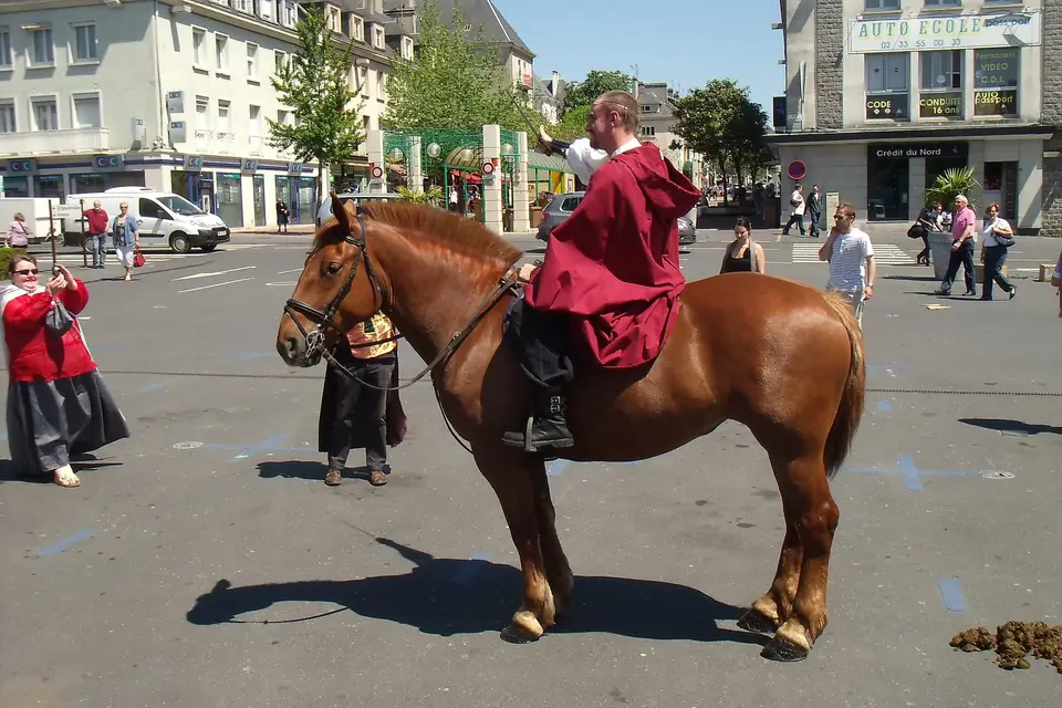 Ferme Équestre Esnol — photo 4