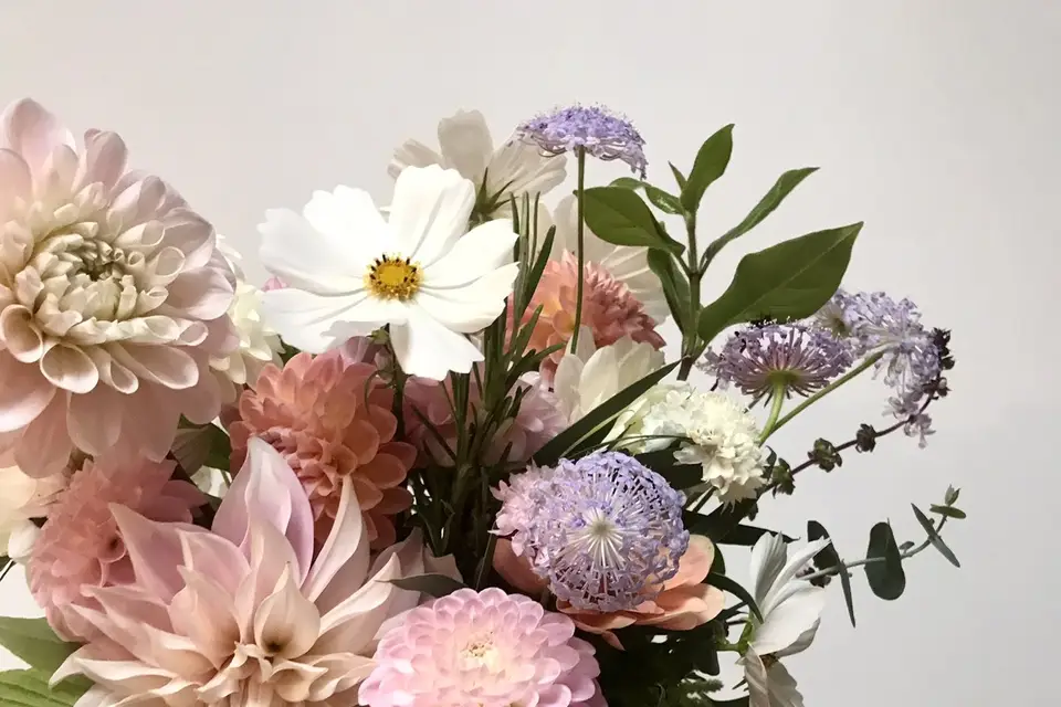 Les Fleurs Bleues — photo 6