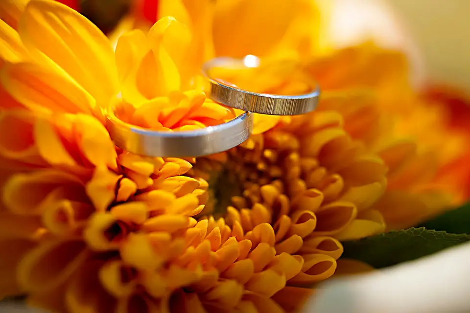 Pom Photography — photo 5