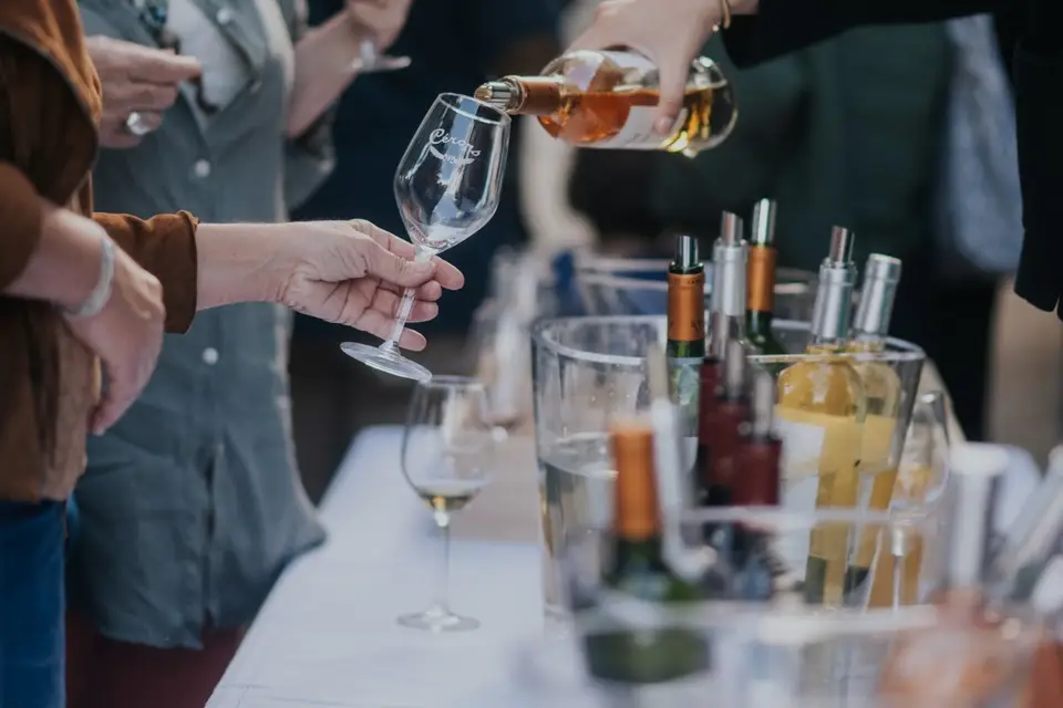 Château de Cérons — photo 6