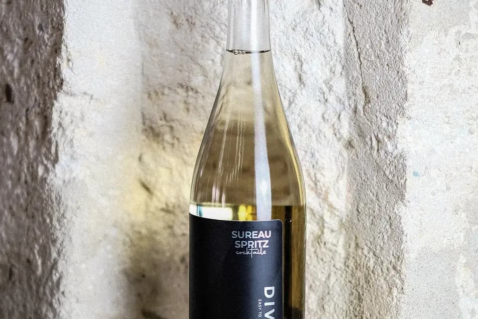 Divin Cocktails — photo 5