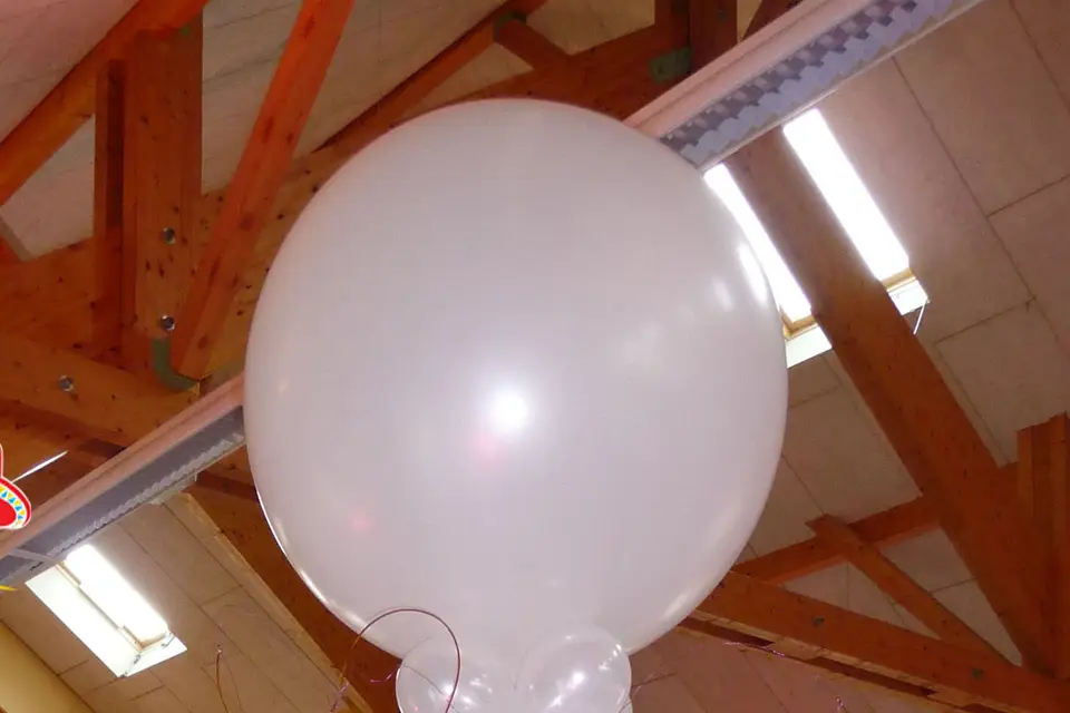 Fiesta Mulhouse — photo 3