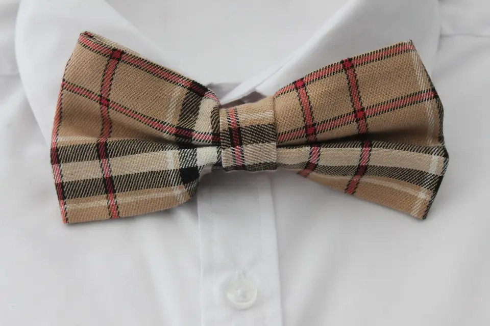 Passion Et Création — photo 3