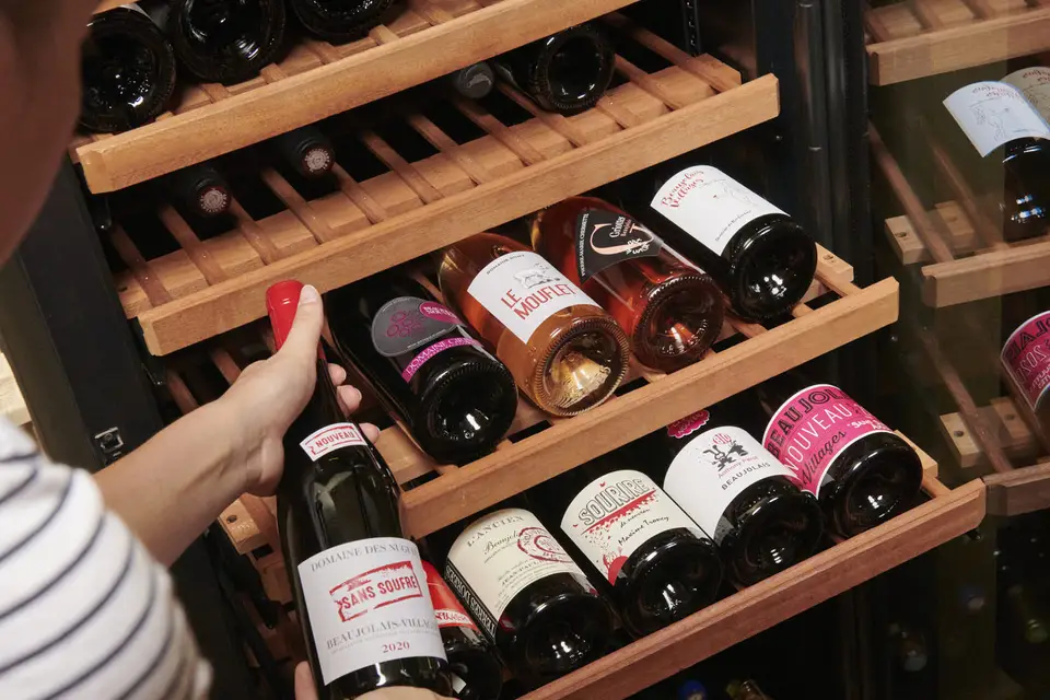 Vins du Beaujolais — photo 7