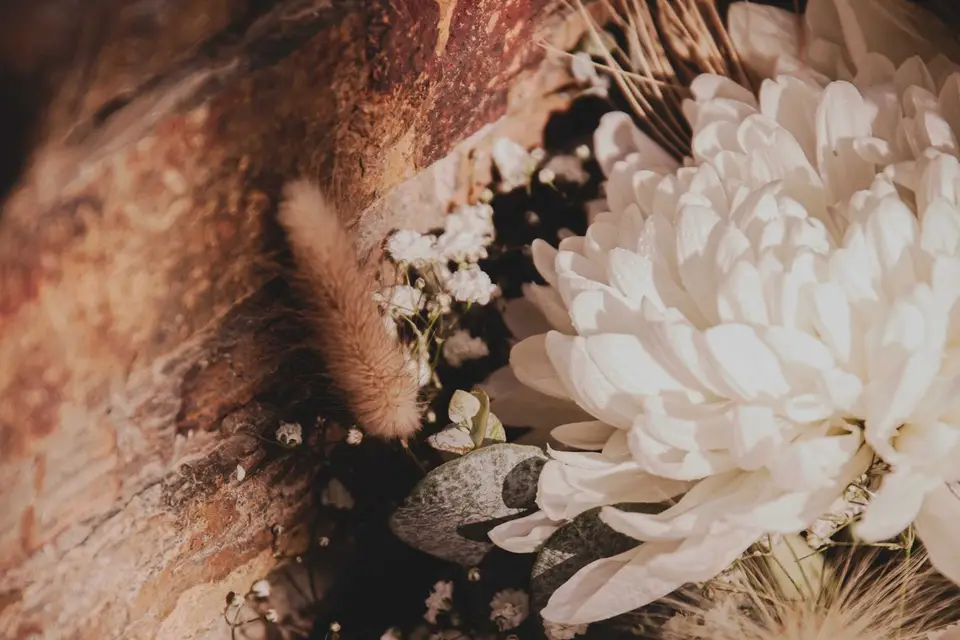 Estelle.C Photographe — photo 7