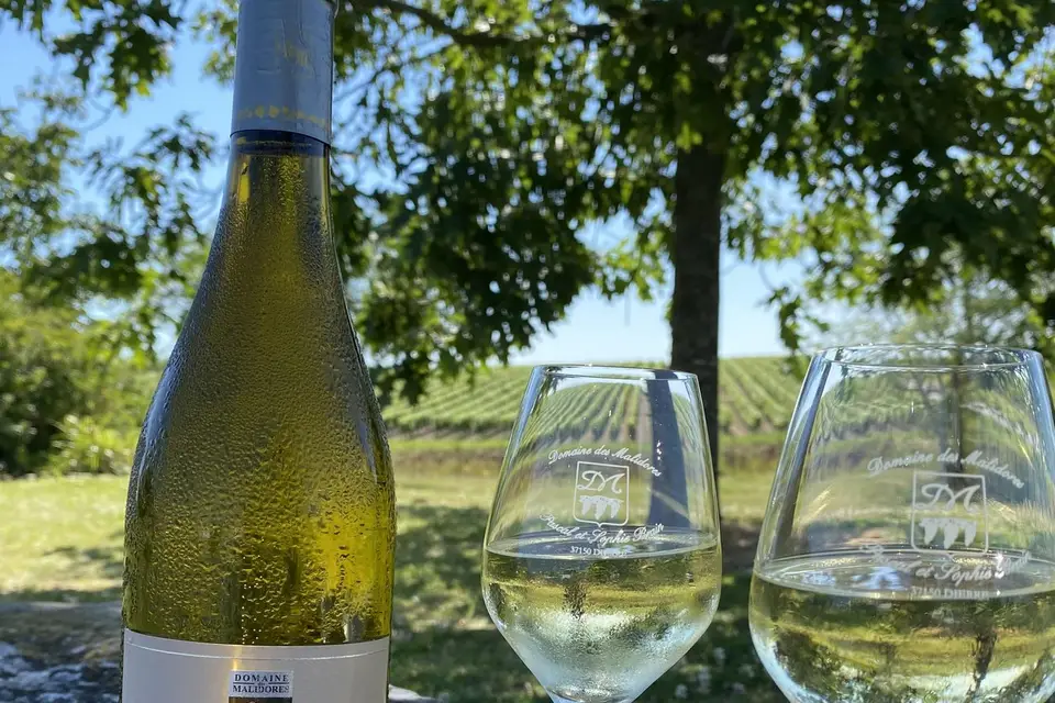 Domaine des Malidores — photo 4