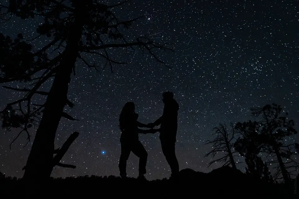 Damien Grandgérard — photo 4