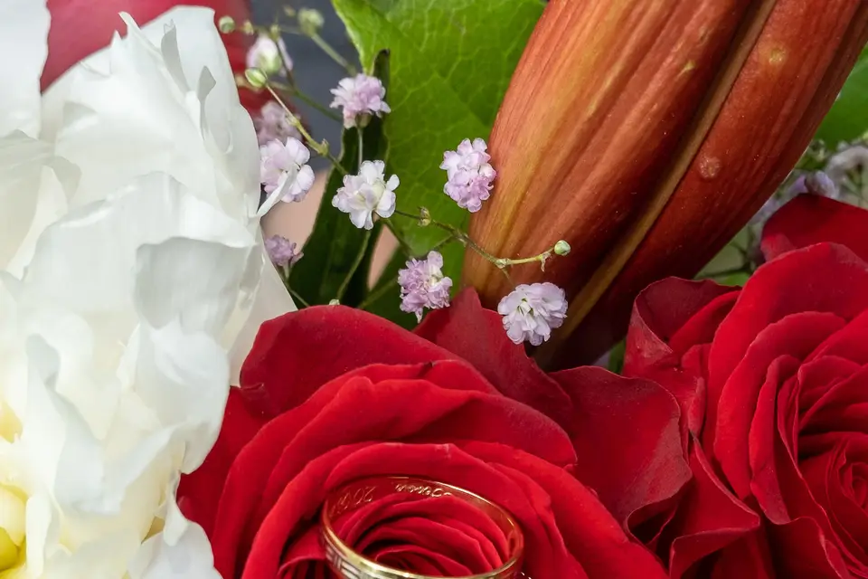 ForeverView Photographe — photo 4