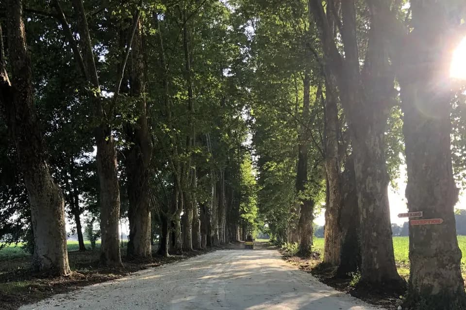 Château de Pile — photo 5