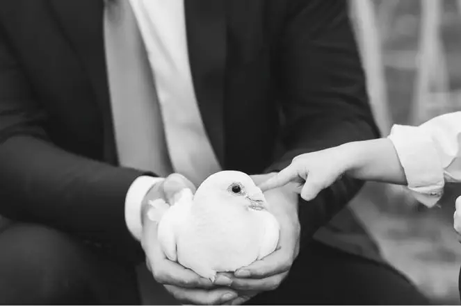 La Colombe des Hauts de Seine — photo 3