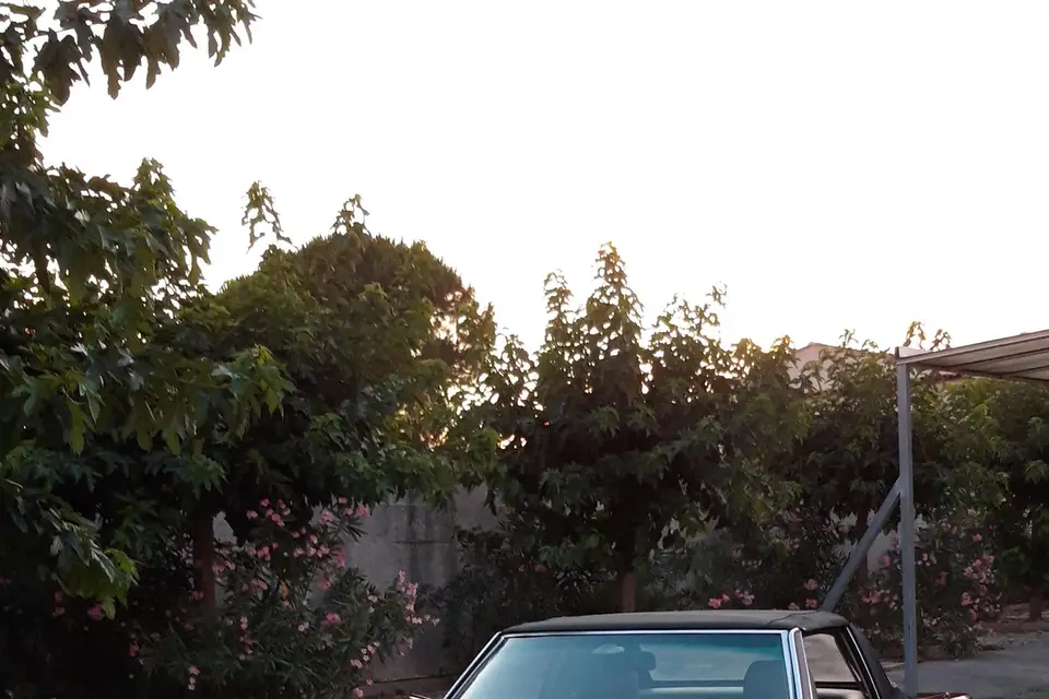 Auto Passion Provence — photo 4