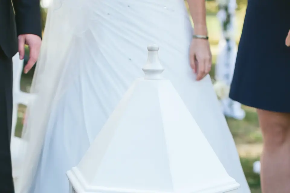 La Colombe des Hauts de Seine — photo 2