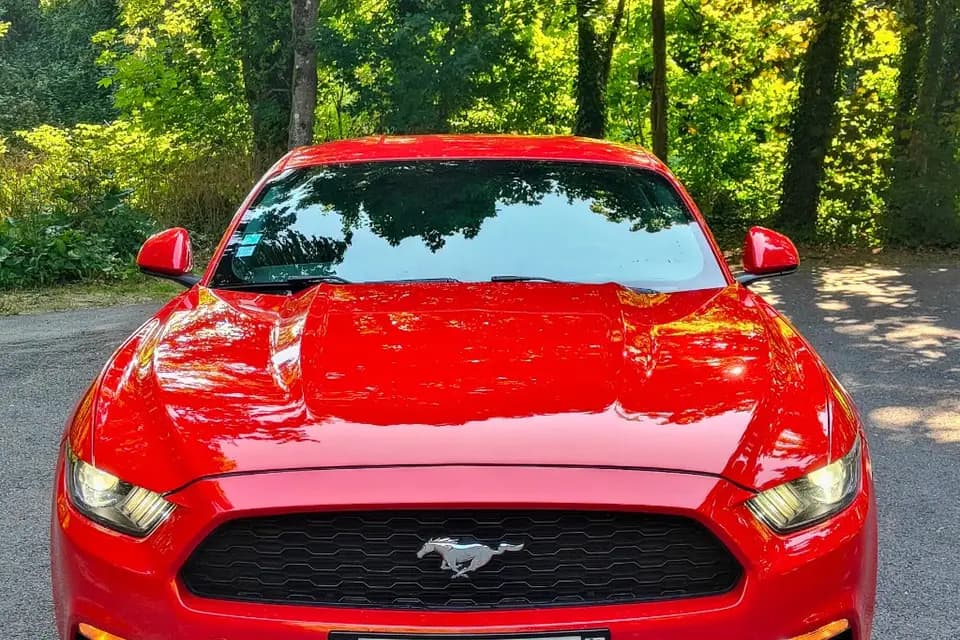 Prestige Drive — photo 2