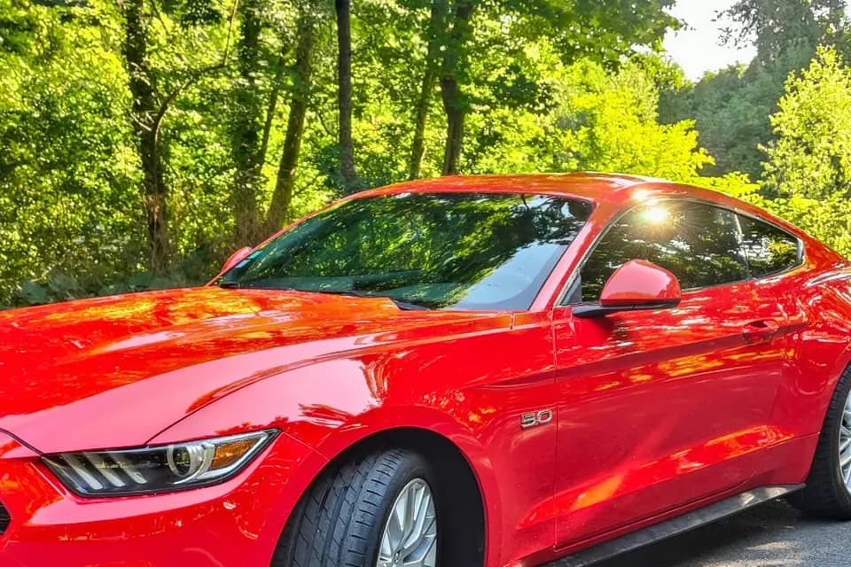 Prestige Drive — photo 5