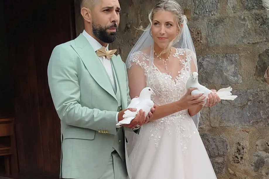 La Colombe des Hauts de Seine — photo 8