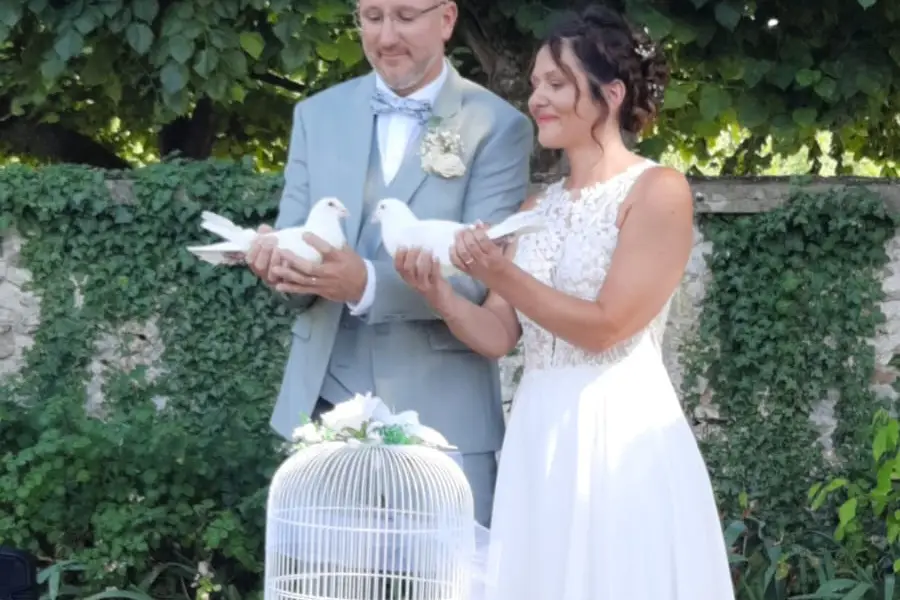 La Colombe des Hauts de Seine — photo 7