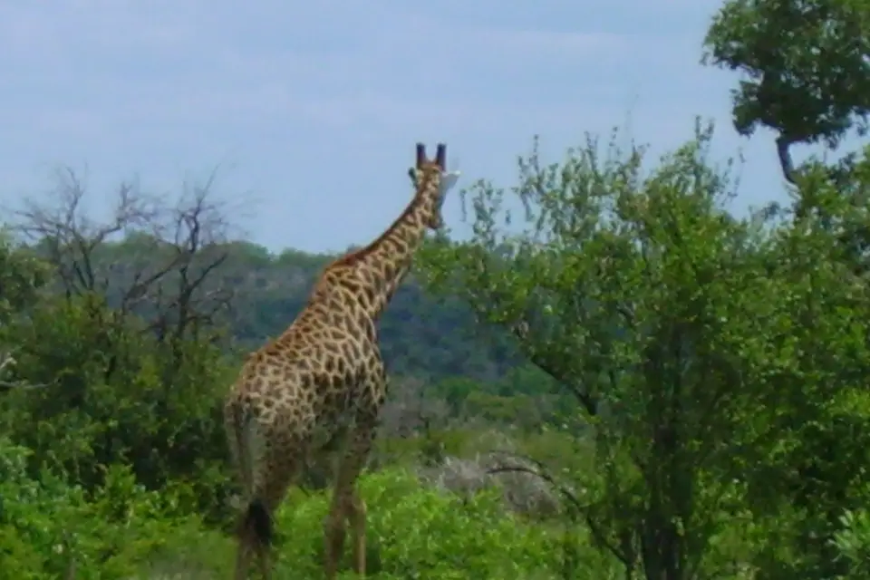 Voyagez vos rêves — photo 2