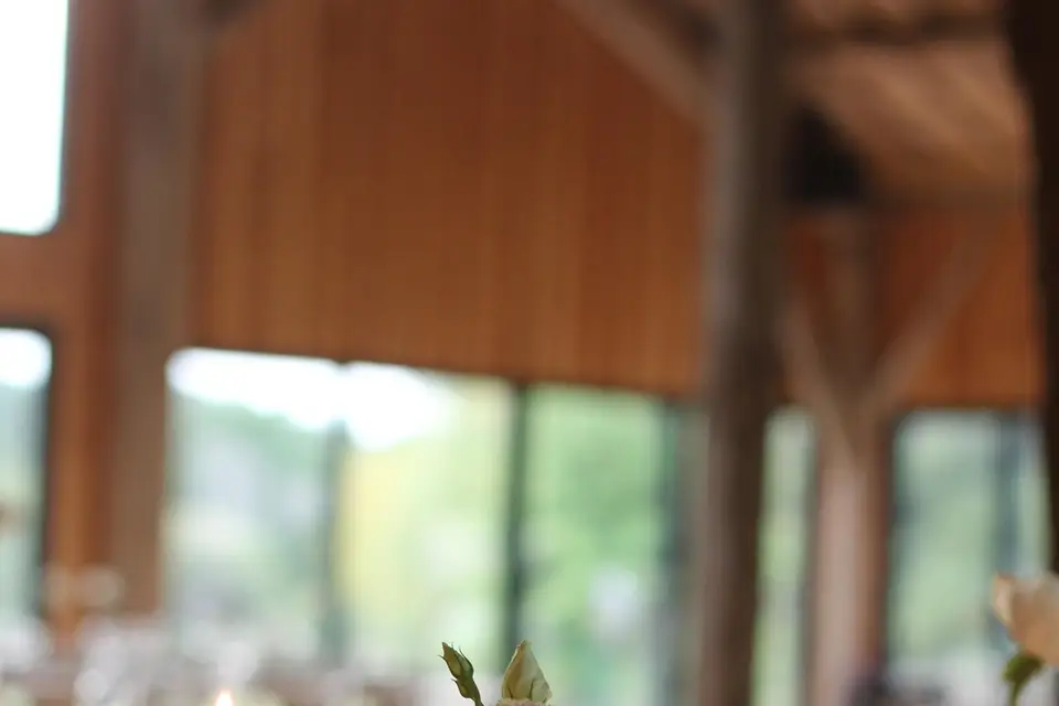 Mon Aloha — photo 3