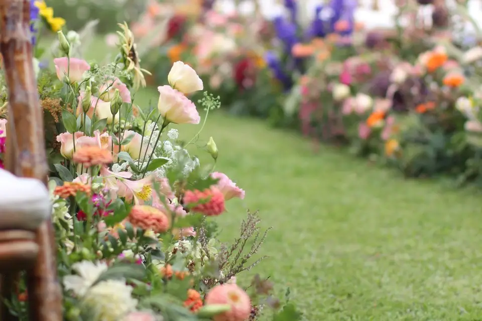 Mon Aloha — photo 4