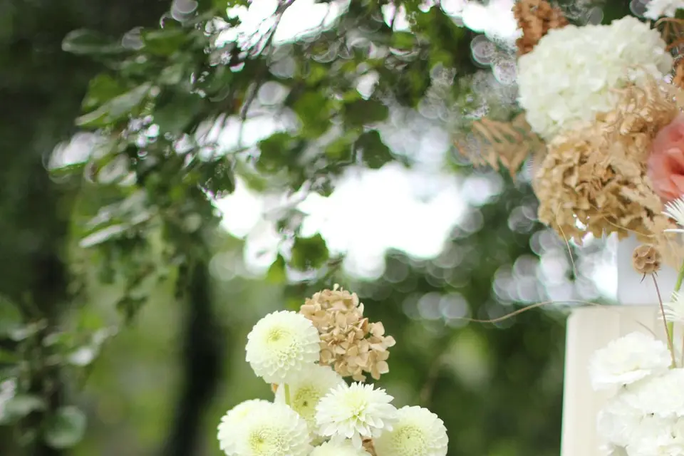 Mon Aloha — photo 7