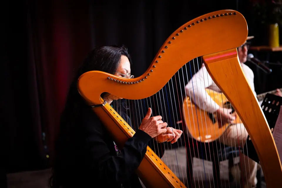 Benjamin Nédey Musicien — photo 2
