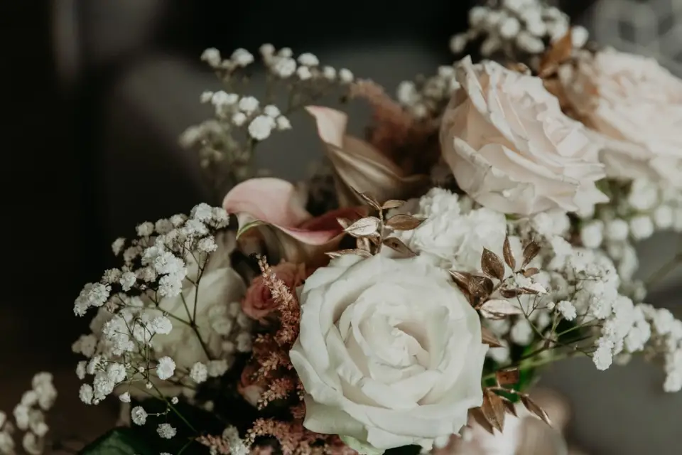 Solar Prism — photo 6