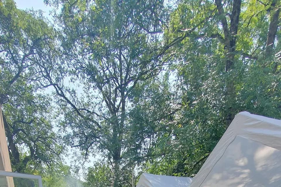 La Petite Porte Verte — photo 1