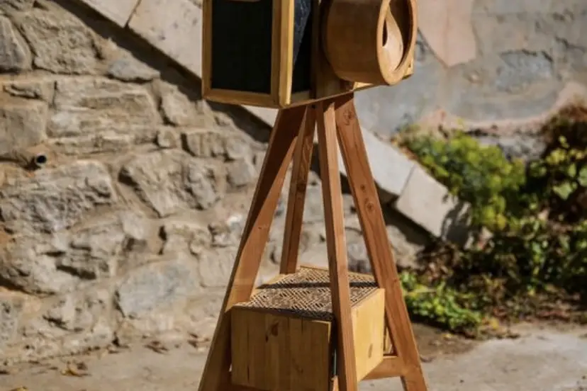 King of Loc — photo 7