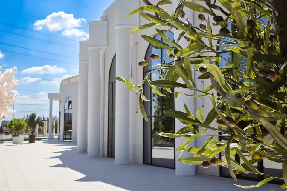 Palais Royal Réceptions — photo 8