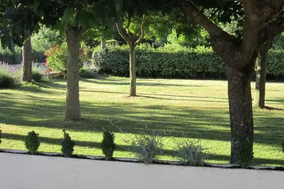 Le Mas Meynier — photo 4