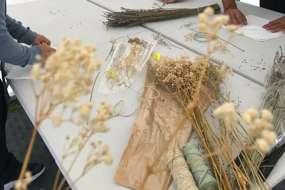 Nour Alsheikhmeia — photo 6