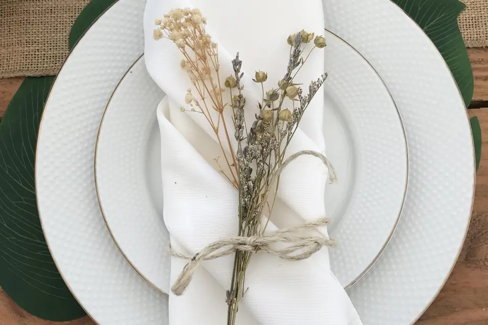 Nour Alsheikhmeia — photo 7