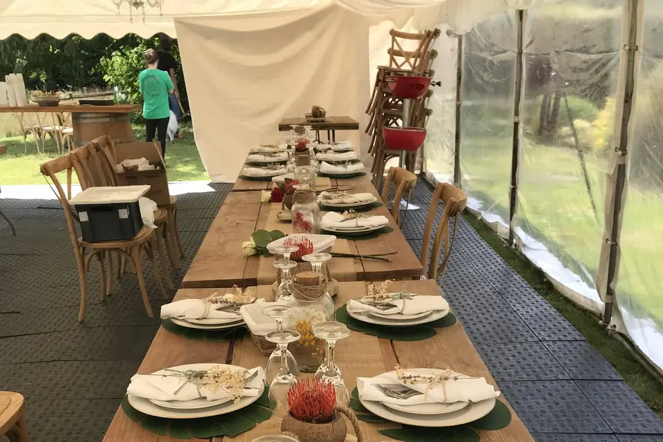 Nour Alsheikhmeia — photo 8