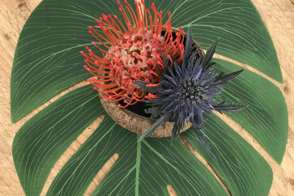 Nour Alsheikhmeia — photo 2