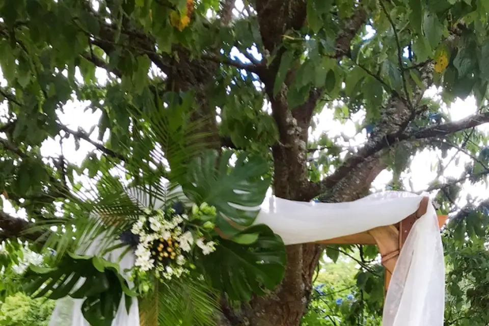 Nour Alsheikhmeia — photo 4