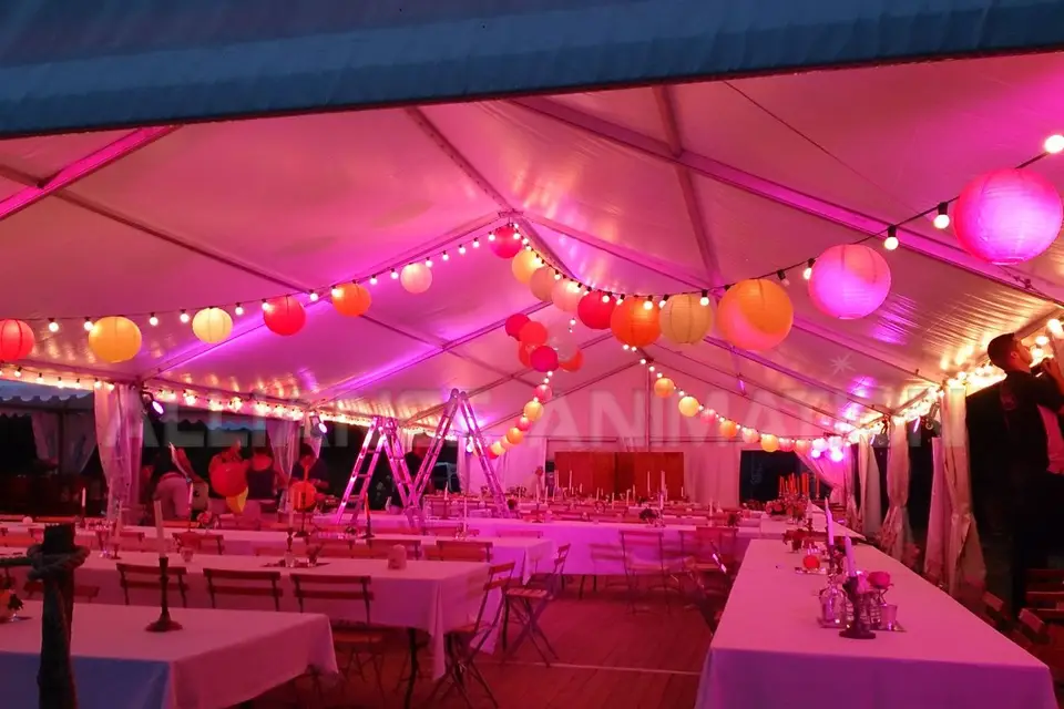 Alliance Animation — photo 5