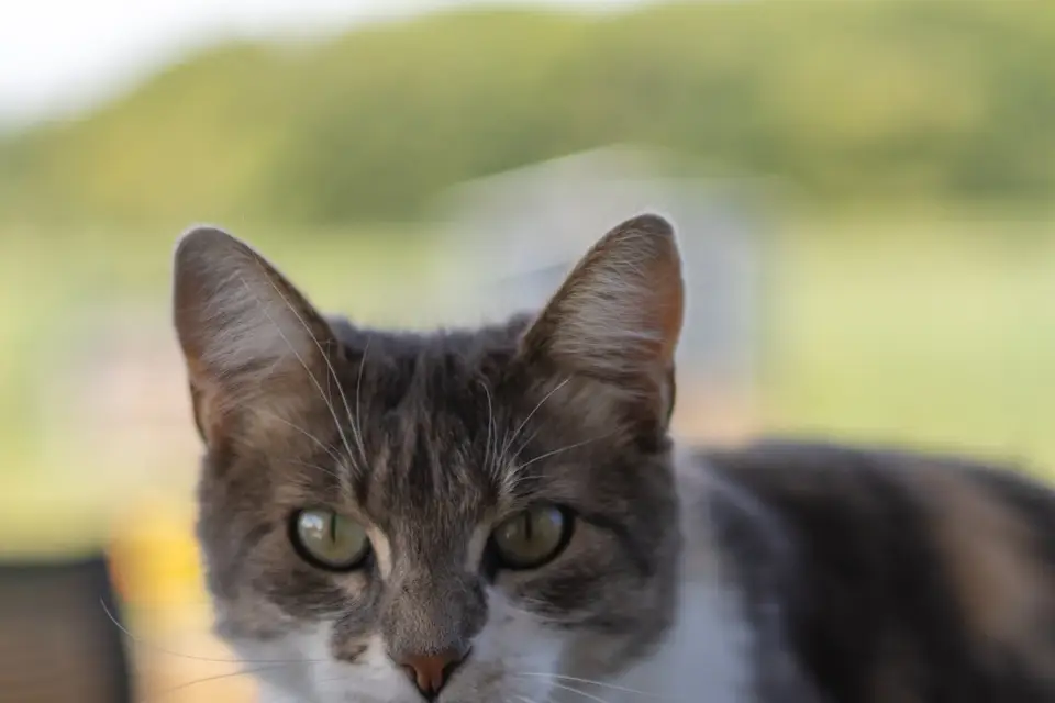 Studio Kévin — photo 5