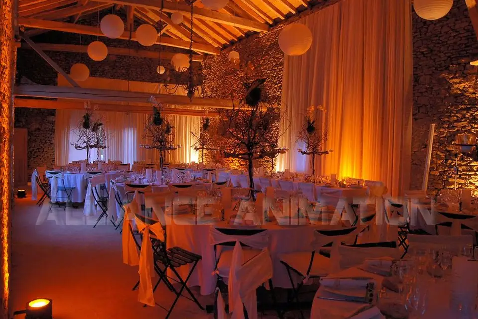 Alliance Animation — photo 1