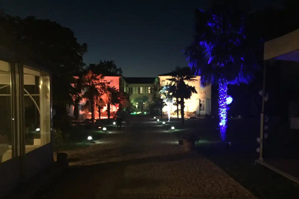 Will Sono — photo 7