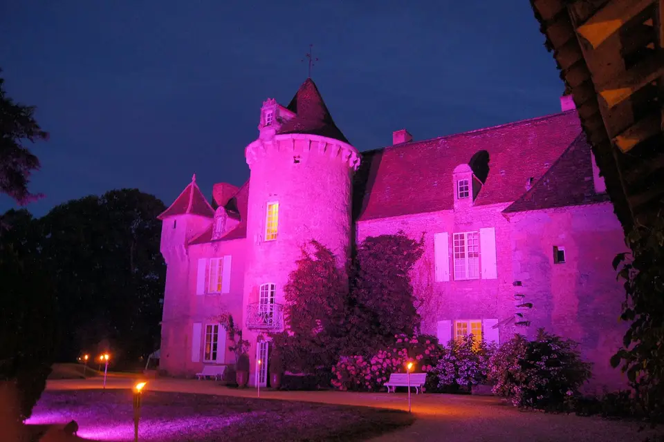 Alliance Animation — photo 2