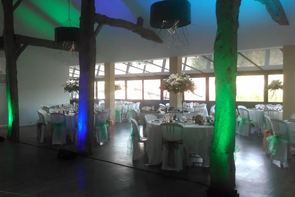 Will Sono — photo 5