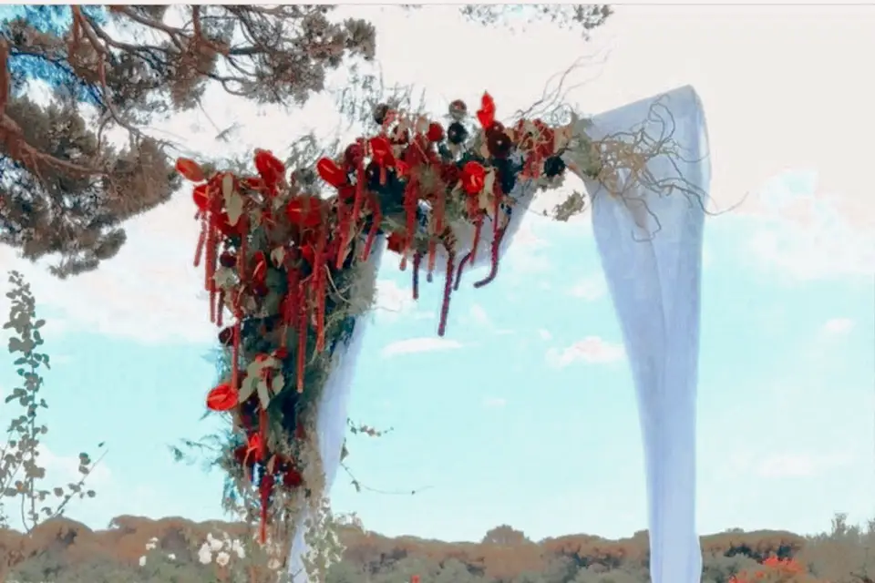 Mauvaise Graine — photo 8