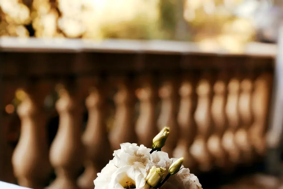 Mauvaise Graine — photo 6