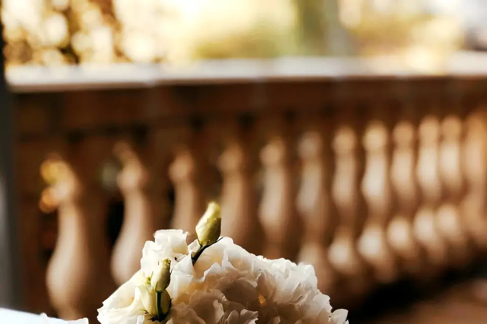 Mauvaise Graine — photo 5